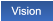Vision Vision