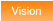 Vision Vision